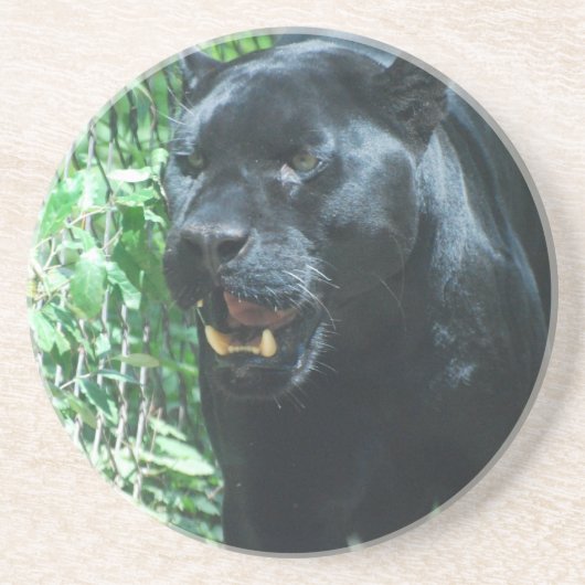Schwarzer Panther-Katzen-Untersetzer Sandstein Untersetzer (Vorne)