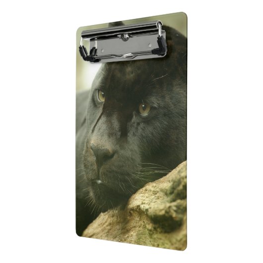 Schwarzer Panther Mini Klemmbrett (Gewinkelt2)