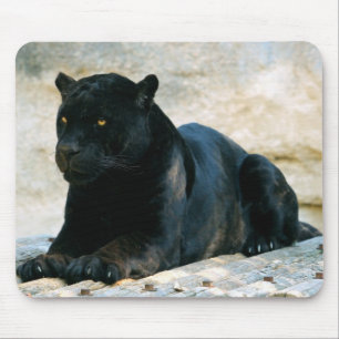 Schwarzer Panther Mousepad