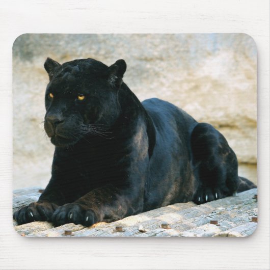 Schwarzer Panther Mousepad (Vorne)