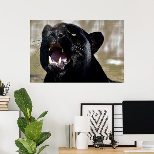 Schwarzer Panther Poster (Heimbüro)