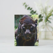 Schwarzer Panther Postkarte (Stehend Vorderseite)