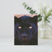 Schwarzer Panther Postkarte (Stehend Vorderseite)