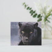 Schwarzer Panther Postkarte (Stehend Vorderseite)