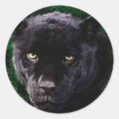 Schwarzer Panther Runder Aufkleber (Vorderseite)