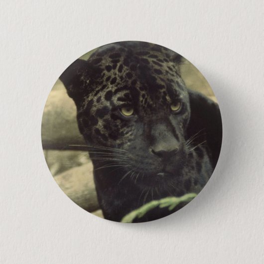 Schwarzer Panther-runder Knopf Button (Vorderseite)