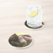 Schwarzer Panther-schlafender Untersetzer (Seite)