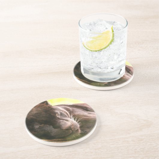 Schwarzer Panther-schlafender Untersetzer (Seite)