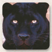 Schwarzer Panther Untersetzer (Vorderseite)