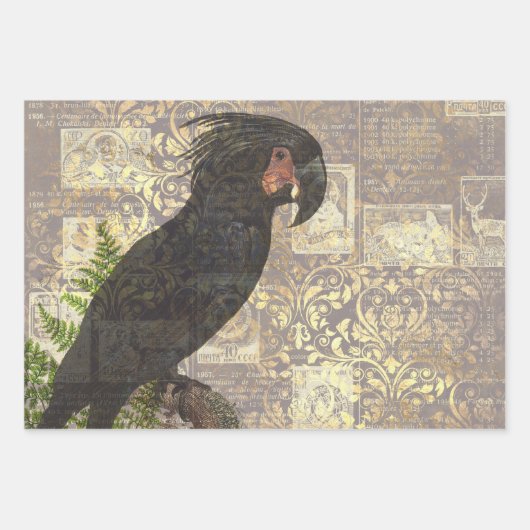 Schwarzer Papagei mit Damask und Newsprint Geschenkpapier Set (Vorderseite)