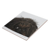 Schwarzer Pekingese Hund, der sich hinlegt Fliese (Seite)