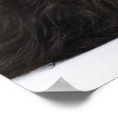 Schwarzer Pekingischer Hund liegt Poster (Ecke)