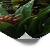 Schwarzer Pfeffer Jaguar Poster (Ecke)