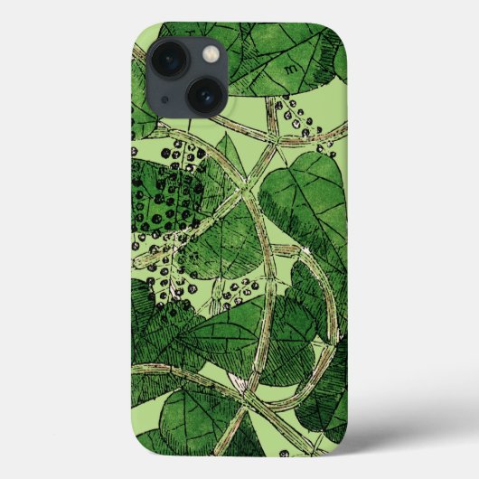 Schwarzer Pfeffer-Pflanze, 1578 Case-Mate iPhone Hülle (Rückseite)