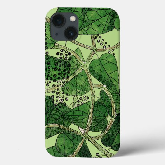 Schwarzer Pfeffer-Pflanze, 1578 Case-Mate iPhone Hülle (Rückseite)