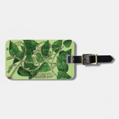 Schwarzer Pfeffer-Pflanze, 1578 Gepäckanhänger (Vorderseite horizontal)