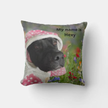 Schwarzer Pitbull in einem rosa Polka Dot Hood - B