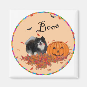 Schwarzer Pomeranian Halloween Magnet