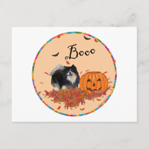 Schwarzer Pomeranian Halloween Postkarte