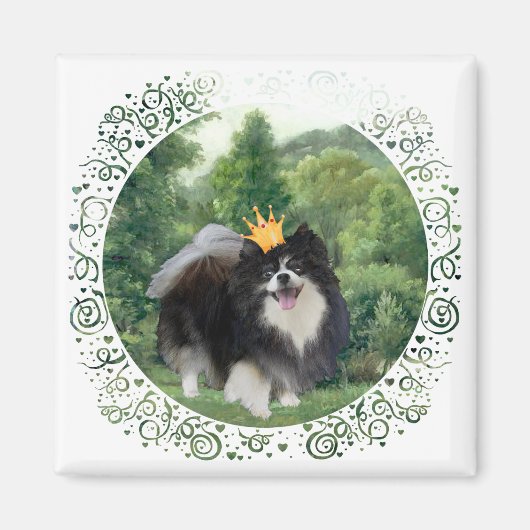 Schwarzer Pomeranian Prinz Magnet (Vorne)