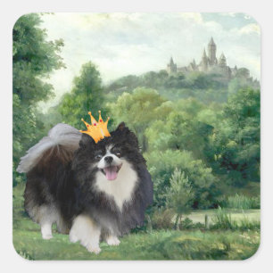 Schwarzer Pomeranian Prinz Quadratischer Aufkleber