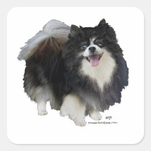 Schwarzer Pomeranian Quadratischer Aufkleber