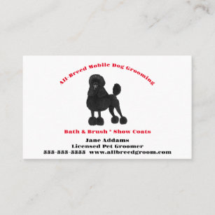 Schwarzer Poodle Roter Text Weißer Hintergrund Pet Visitenkarte