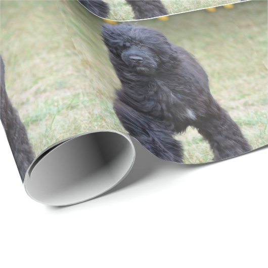 Schwarzer portugiesischer Wasser-Hund Geschenkpapier (Rolleneckpunkt)