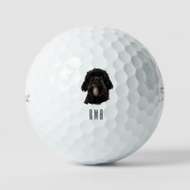 Schwarzer Pudel Golfball
