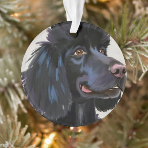 Schwarzer Pudel Hund Wasserfarbe Haustiermalerei Ornament
