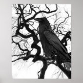 Schwarzer Rabe im Baum Schwarz-Weiß-Foto Poster (Vorne)