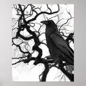 Schwarzer Rabe im Baum Schwarz-Weiß-Foto Poster (Vorne)