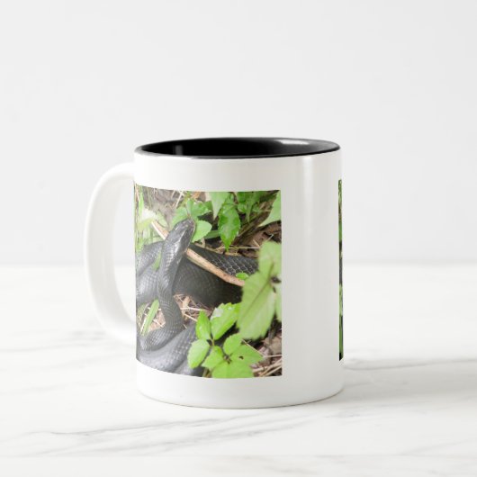 Schwarzer Rennläufer-Schlangen-Sonnen Zweifarbige Tasse (Vorderseite Links)