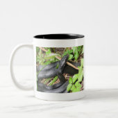 Schwarzer Rennläufer-Schlangen-Sonnen Zweifarbige Tasse (Links)