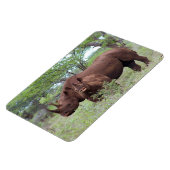 Schwarzer Rhino mit Kalb Magnet (Linke Seite)