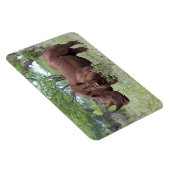 Schwarzer Rhino mit Kalb Magnet (Rechte Seite)