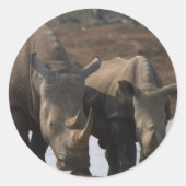Schwarzer Rhinos-Sticker Runder Aufkleber (Vorderseite)