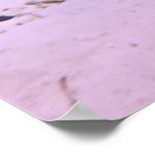 Schwarzer Riffhai auf den Flats Poster (Ecke)