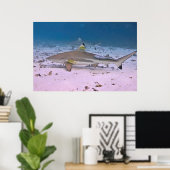 Schwarzer Riffhai auf den Flats Poster (Heimbüro)