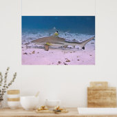 Schwarzer Riffhai auf den Flats Poster (Küche)