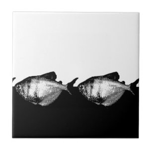Schwarzer Rock Tetra Fisch in einer Linie Fliese