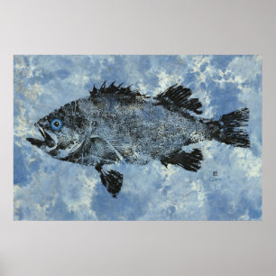 Schwarzer Rockfish On Blue - 36" x 24" Poster