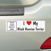 Schwarzer Russe Terrier Autoaufkleber (Auf Auto)