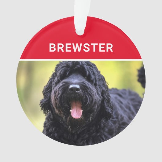 Schwarzer Russischer Terrier Dog's Name Foto Weihn Ornament (Vorderseite)
