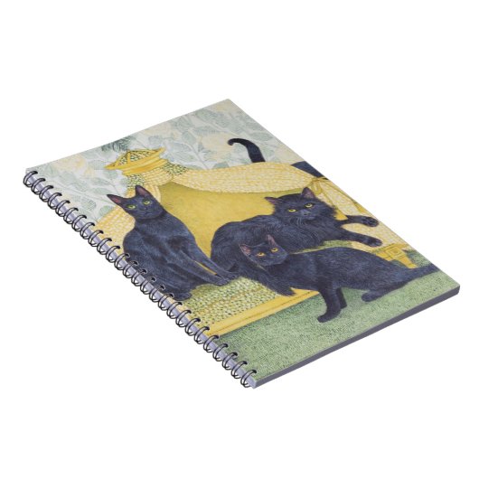 Schwarzer Samt Notizblock (Rechte Seite)