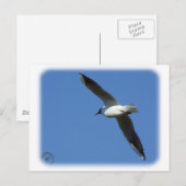 Schwarzer Schädel 8R32D-04 Postkarte (Vorne/Hinten)