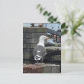 Schwarzer Schädel, Insel Islay, Schottland Postkarte (Stehend Vorderseite)