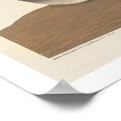 Schwarzer Schädel von Audubon Poster (Ecke)