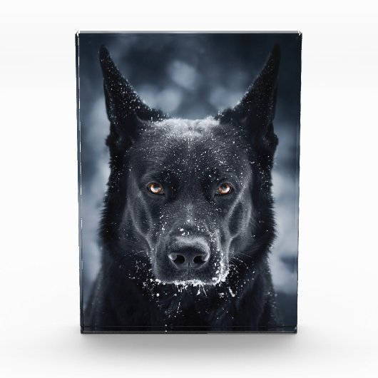 Schwarzer Schäfer Fotoblock (Vorderseite)