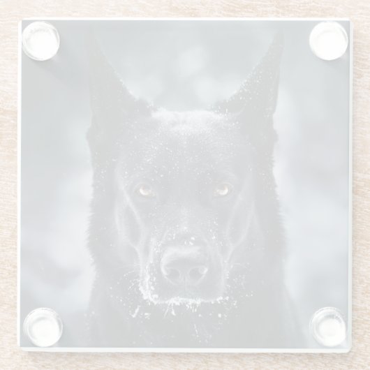 Schwarzer Schäfer Glasuntersetzer (Rückseite)